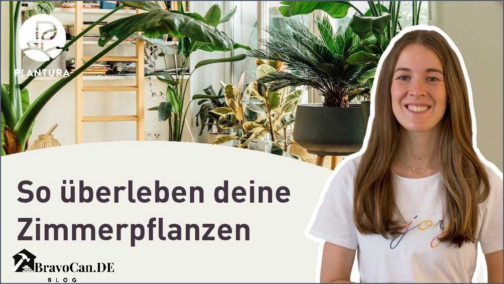 Wann sollten Zimmerpflanzen gedüngt werden Wann sollten Zimmerpflanzen gedüngt werden