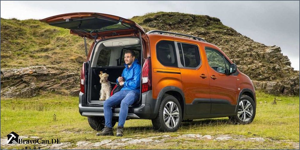 Die besten Autos für Hunde Tipps und Empfehlungen