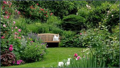 Die besten Sträucher für den Garten Tipps und Empfehlungen