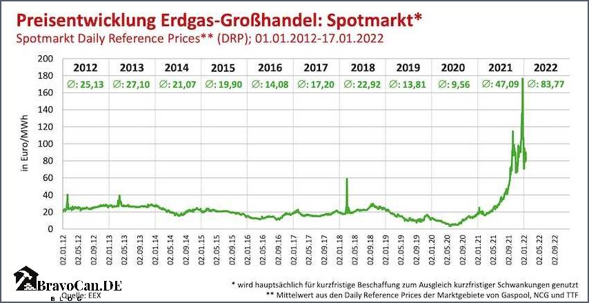 Die Preisentwicklung von Flüssiggas in den letzten 10 Jahren