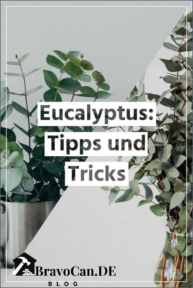 Eukalyptus selber ziehen Tipps und Tricks für den eigenen Anbau Eukalyptus selber ziehen Tipps und Tricks für den eigenen Anbau
