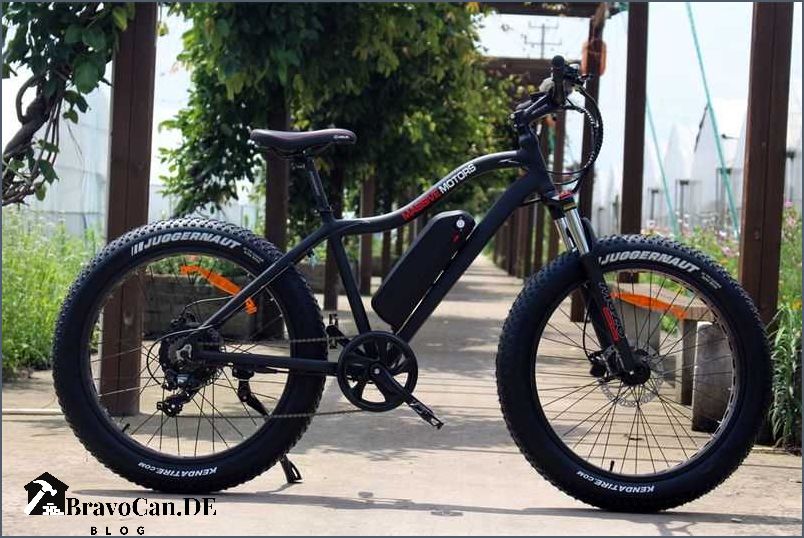 Fatbike E-Bike Die perfekte Kombination von Stil und Leistung