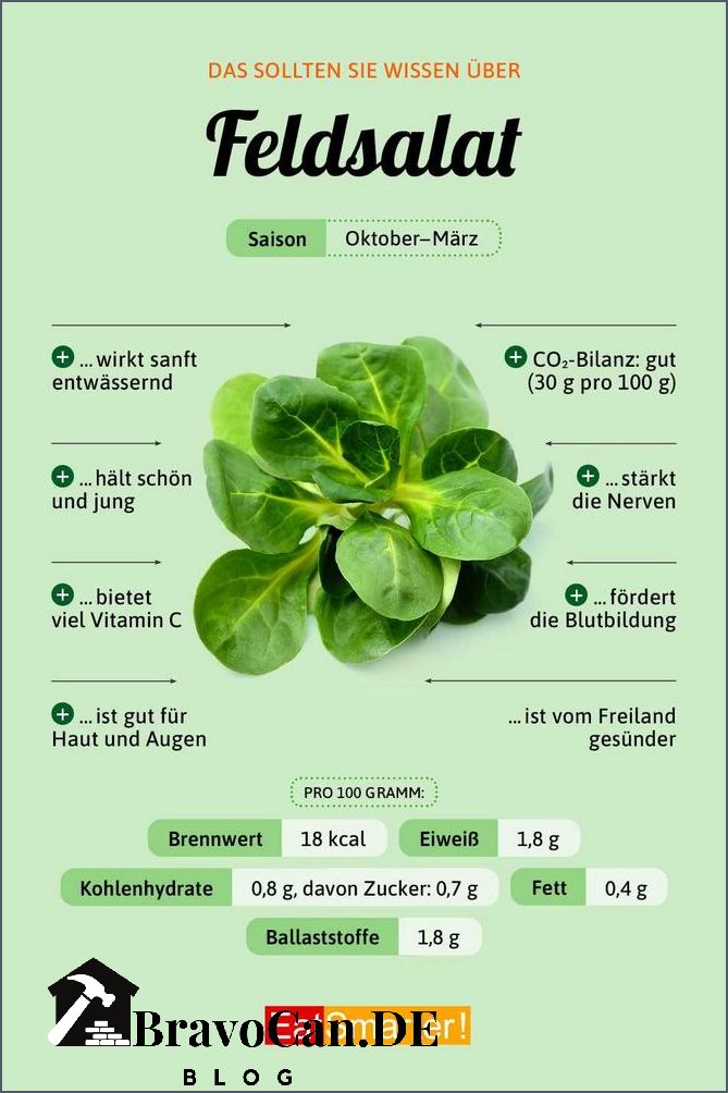 Wieviel Gramm Feldsalat Rechnet Man Pro Person Feldsalat pro Person Die perfekte Menge für eine Portion – Bravocan.DE
