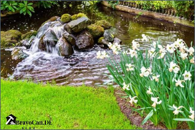 Feng Shui Garten Tipps und Tricks für die perfekte Harmonie im Garten Feng Shui Garten Tipps und Tricks für die perfekte Harmonie im Garten