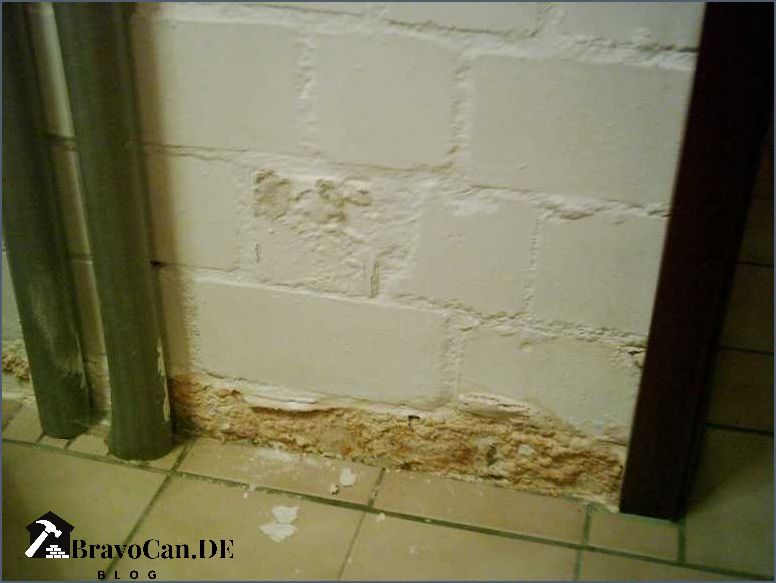Feuchtigkeit in der Wand Ursachen Symptome und Lösungen