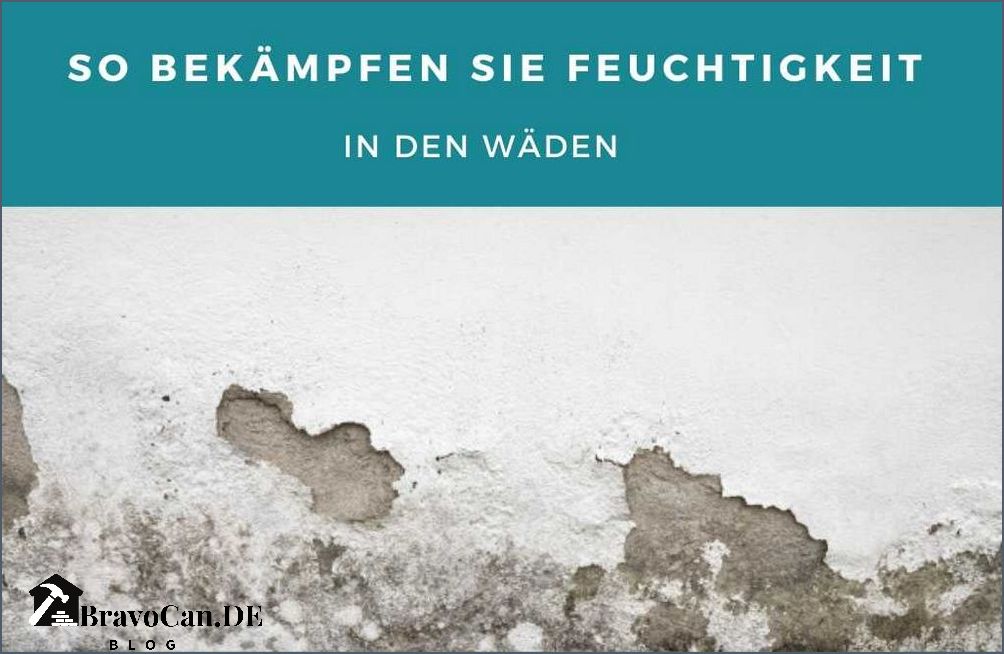 Feuchtigkeit in der Wand Ursachen Symptome und Lösungen