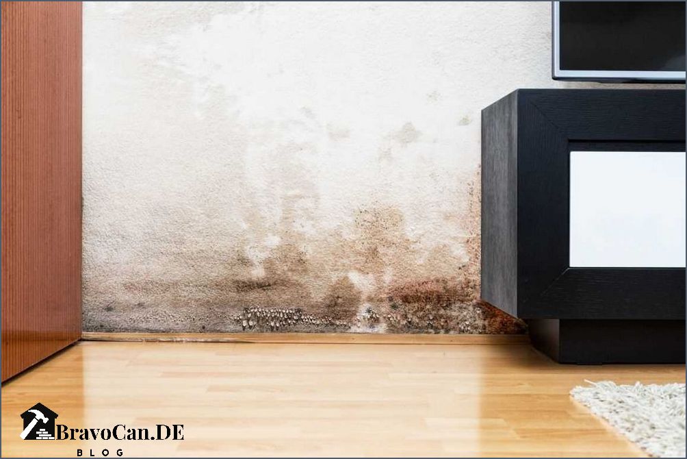 Feuchtigkeit in der Wand Ursachen Symptome und Lösungen