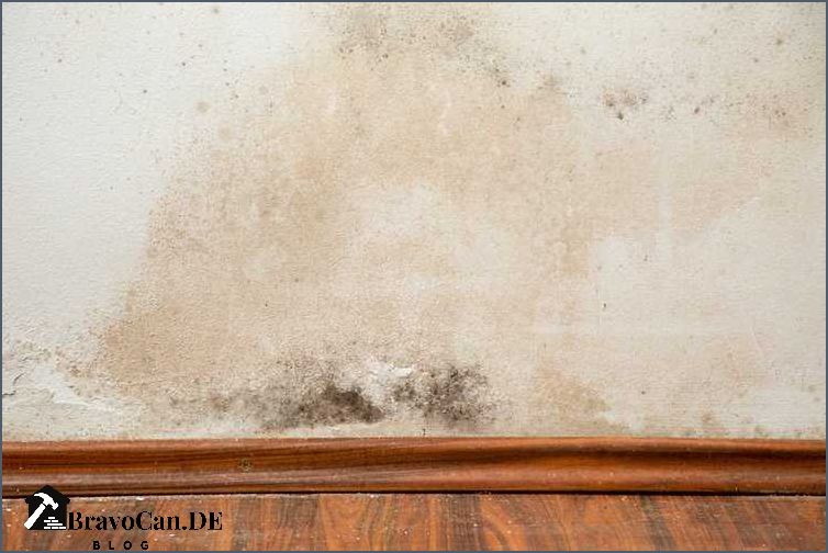 Feuchtigkeit in der Wand Ursachen Symptome und Lösungen