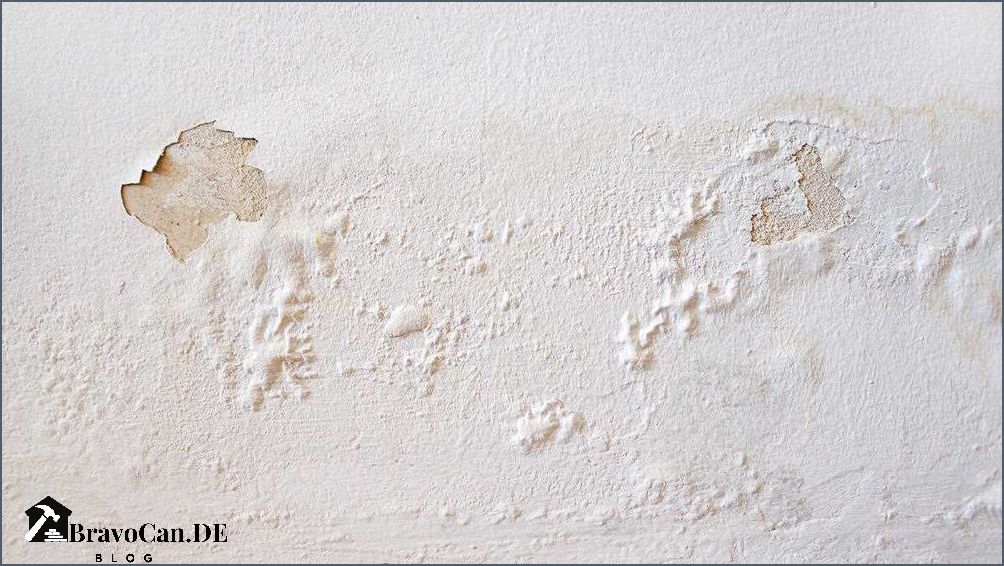 Feuchtigkeit in der Wand Ursachen Symptome und Lösungen