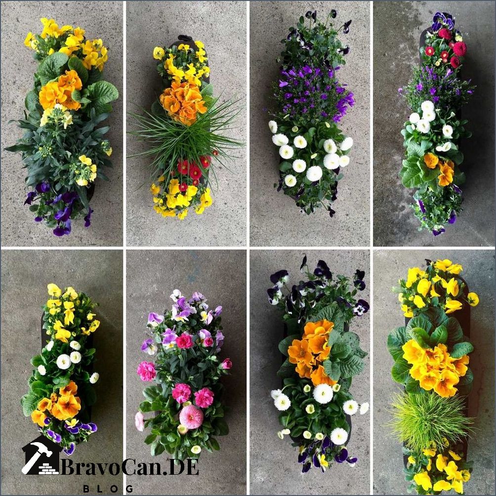 Frühlingsblumen Blumenkästen bepflanzen - Ideen für den Frühling