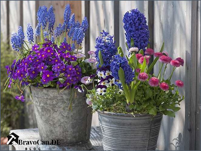 Frühlingsblumen Blumenkästen bepflanzen - Ideen für den Frühling
