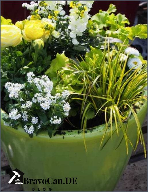 Frühlingsblumen Blumenkästen bepflanzen - Ideen für den Frühling