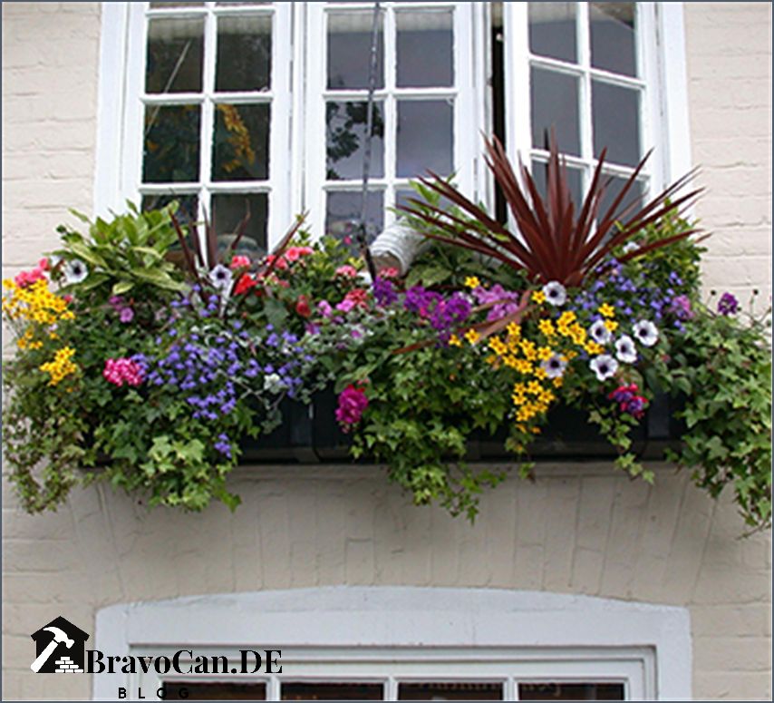 Frühlingsblumen Blumenkästen bepflanzen - Ideen für den Frühling