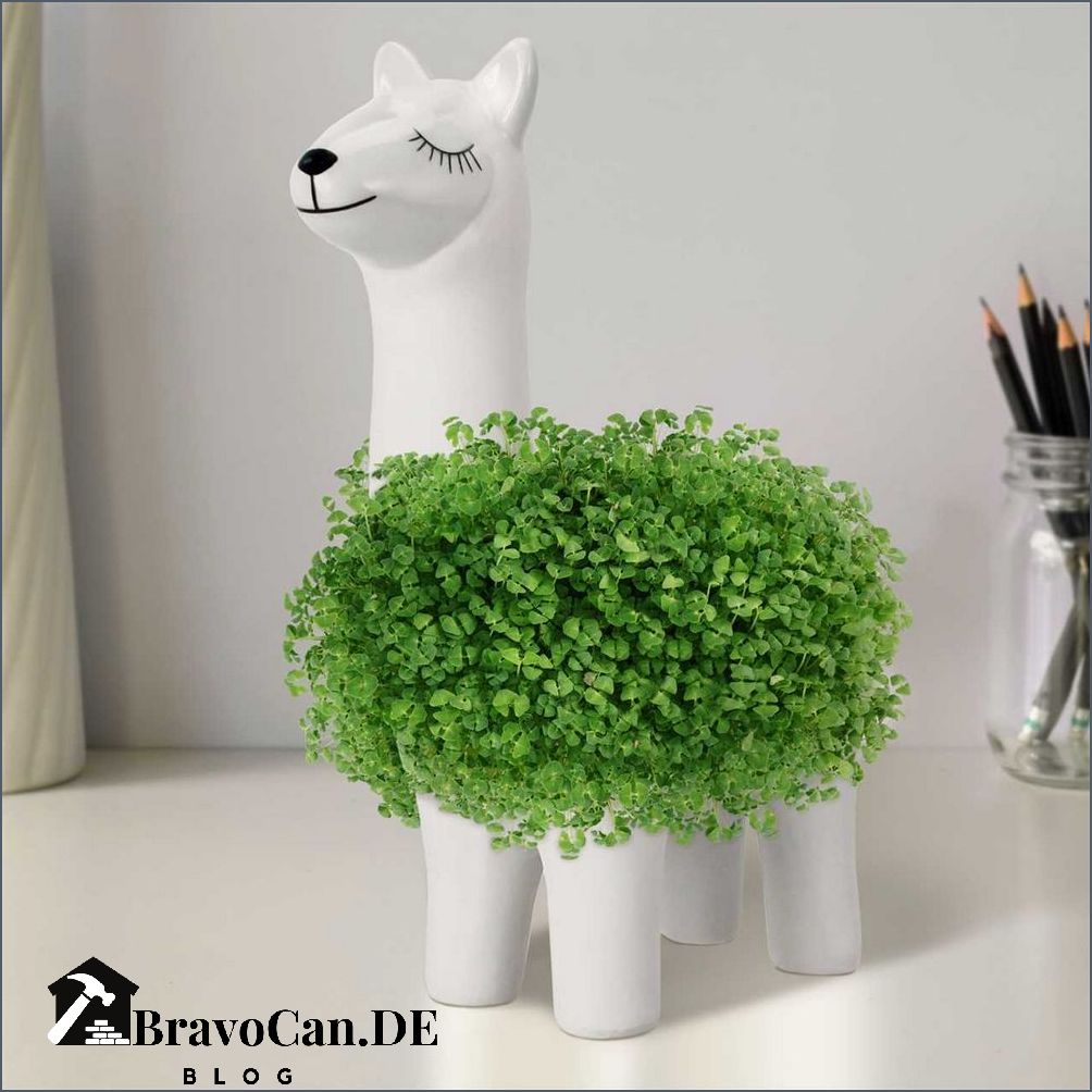 Garten Geschenk Männer Die besten Ideen für grüne Daumen Garten Geschenk Männer Die besten Ideen für grüne Daumen