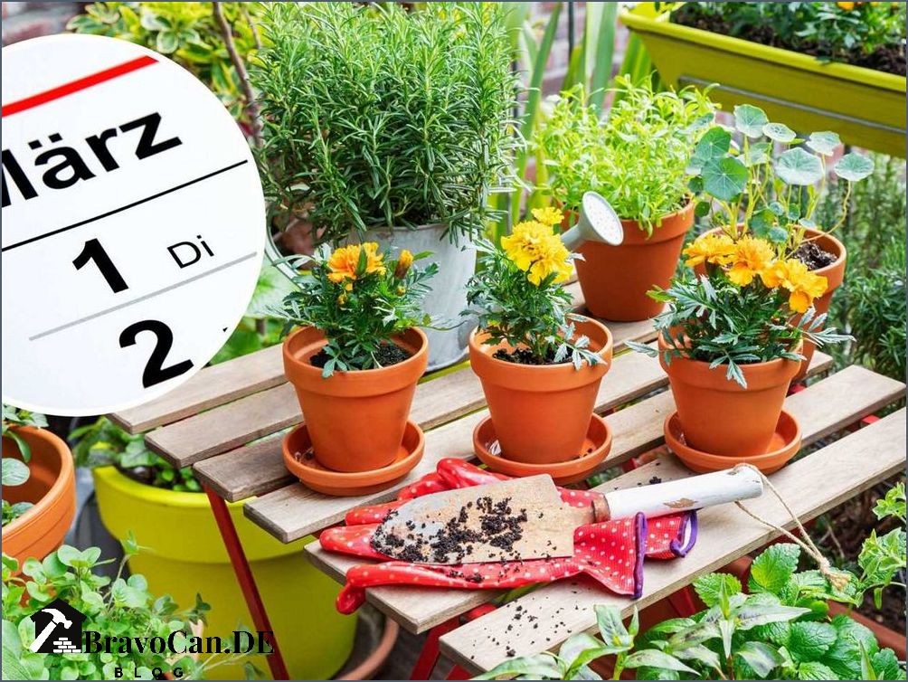 Garten im März Tipps und Tricks für den Frühlingsbeginn Garten im März Tipps und Tricks für den Frühlingsbeginn