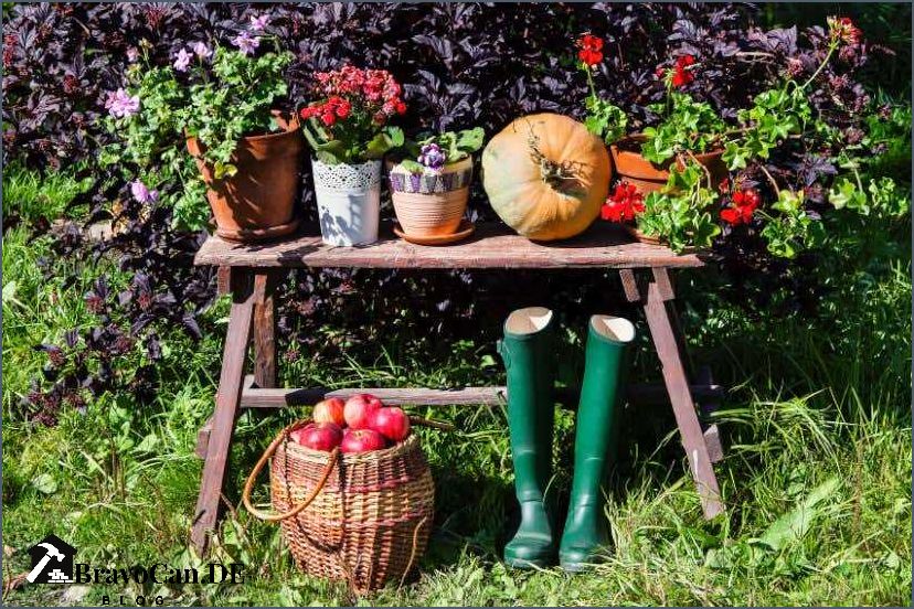 Garten im November Tipps und Ideen für die herbstliche Gartengestaltung Garten im November Tipps und Ideen für die herbstliche Gartengestaltung