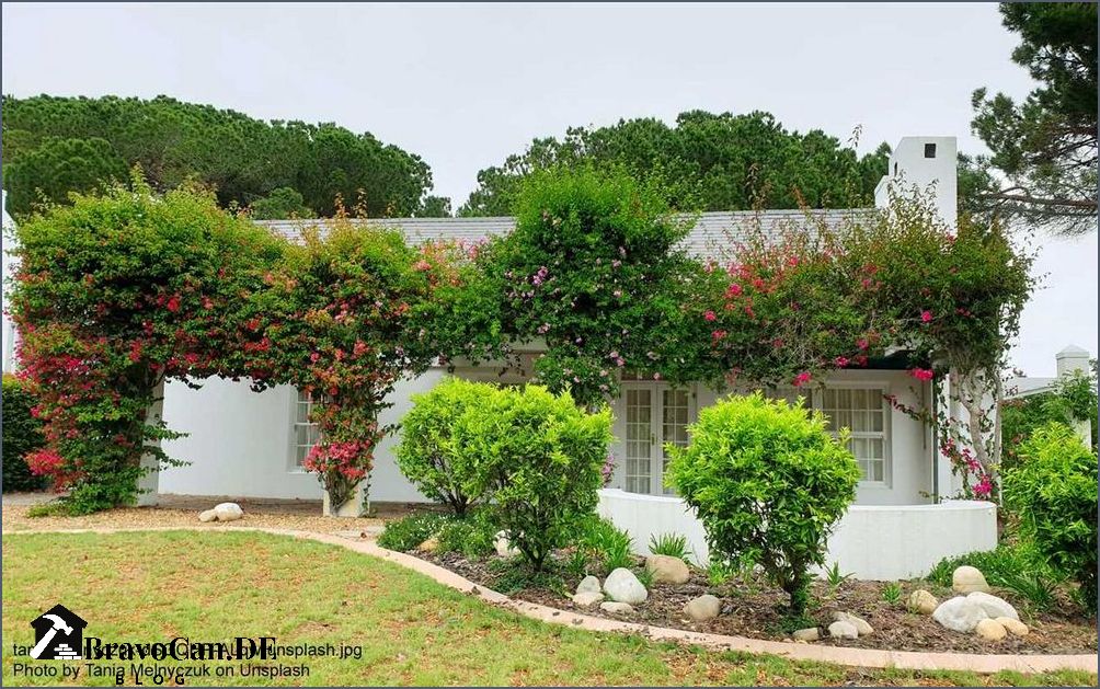 Garten mit Wasser gestalten Tipps und Ideen für die Gestaltung eines wassersparenden Gartens