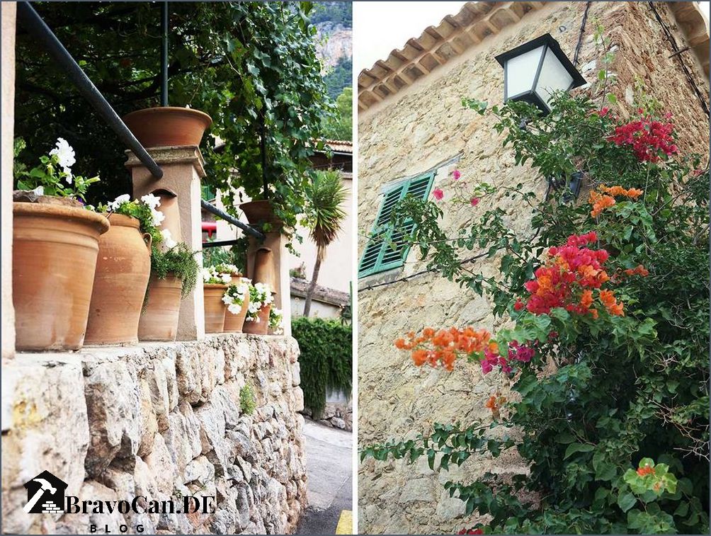Gartengestaltung mit Toskana-Zypressen Tipps und Ideen für mediterranes Flair Gartengestaltung mit Toskana-Zypressen Tipps und Ideen für mediterranes Flair