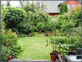 Gartenideen für einen mediterranen Garten - Tipps und Inspiration