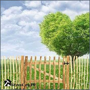 Gartentüren aus Holz - Die perfekte Ergänzung für Ihren Garten