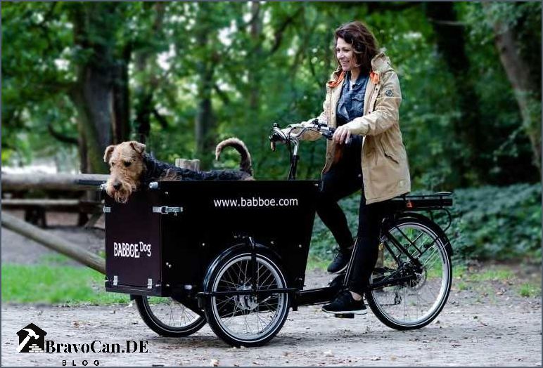Gebrauchtes Babboe Lastenrad für Hunde - Finden Sie das perfekte Modell