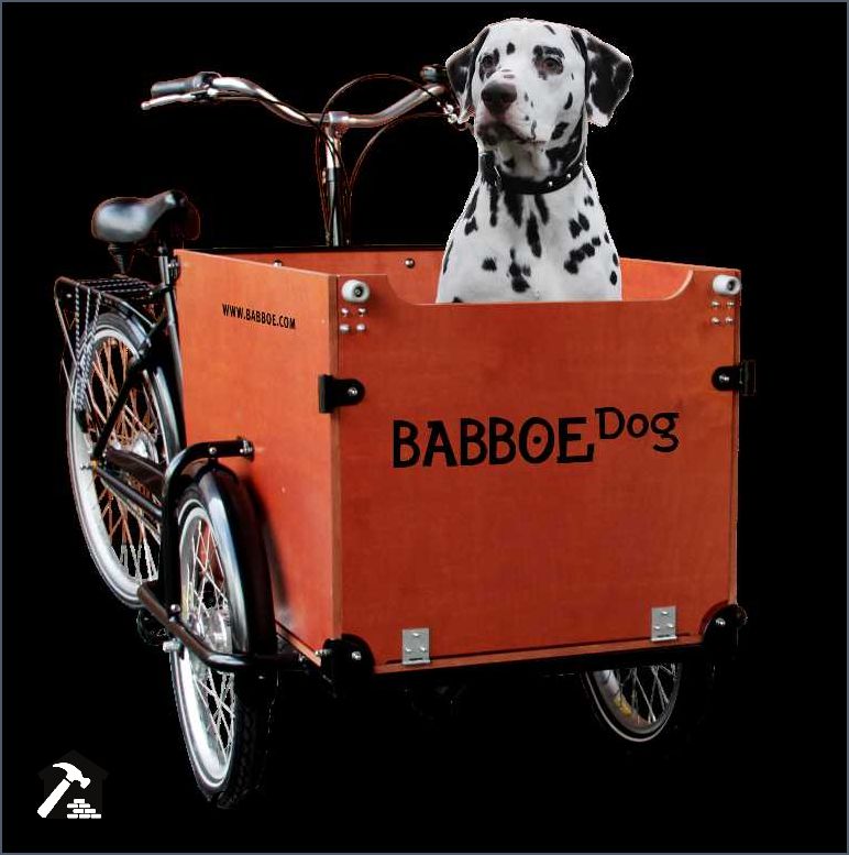 Gebrauchtes Babboe Lastenrad für Hunde - Finden Sie das perfekte Modell