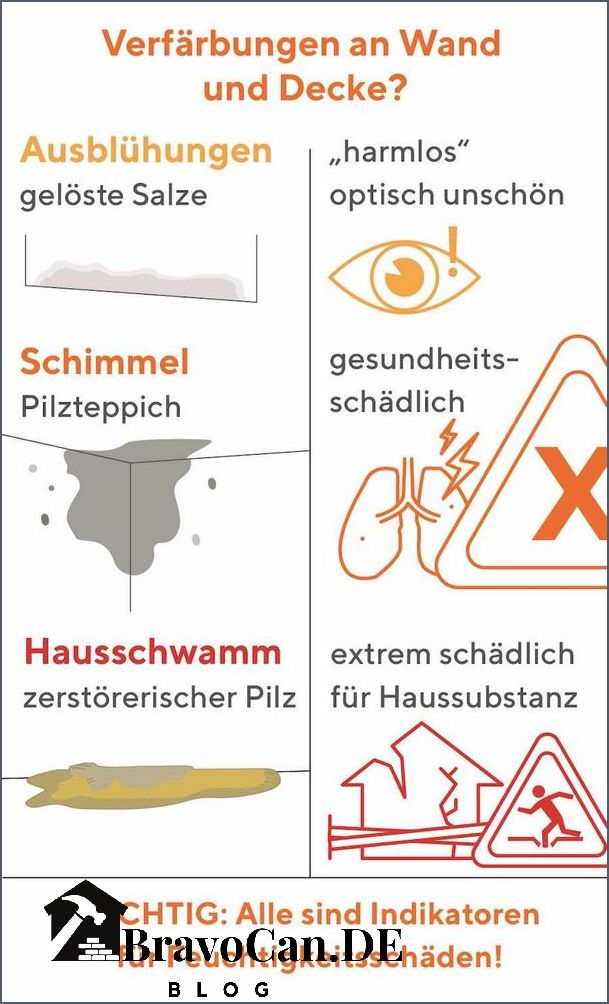 Geht Ein Blutohr Von Alleine Weg Geht Schimmel von alleine weg Ursachen Vorbeugung und Lösungen