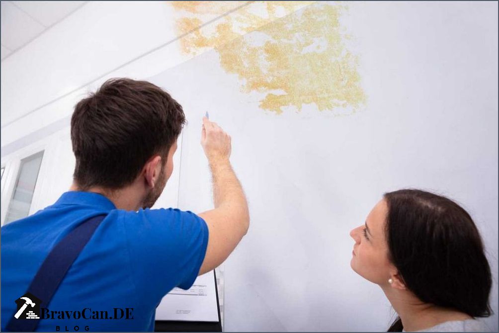 Gelbe Flecken an der Wand Ursachen Behandlung und Prävention Gelbe Flecken an der Wand Ursachen Behandlung und Prävention