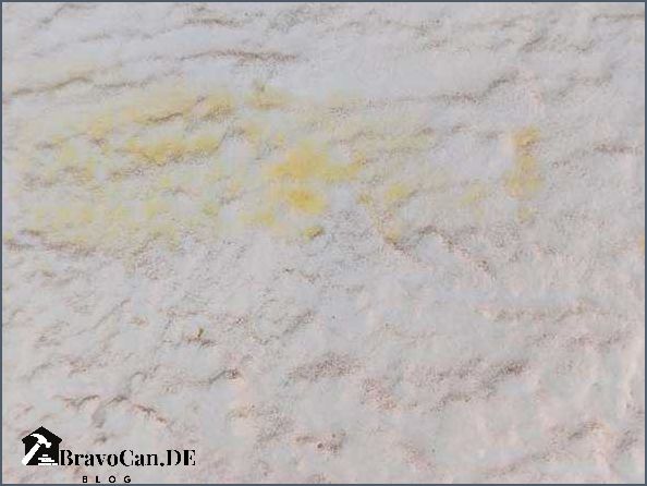 Gelbe Flecken an der Wand Ursachen Behandlung und Prävention Gelbe Flecken an der Wand Ursachen Behandlung und Prävention