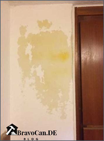 Gelbe Flecken An Der Wand Kein Schimmel