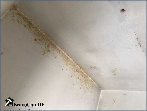 Wasserfleck Gelbe Flecken An Der Wand Gelbe Flecken an der Wand Ursachen Behandlung und Prävention – Bravocan.DE