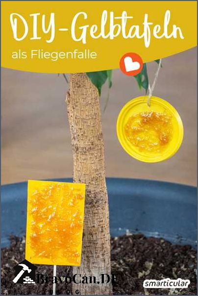 Gelbtafeln selbst machen Anleitung und Tipps Gelbtafeln selbst machen Anleitung und Tipps