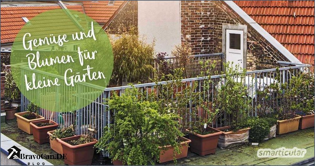 Gemüsegarten anlegen Tipps für einen kleinen Garten Gemüsegarten anlegen Tipps für einen kleinen Garten
