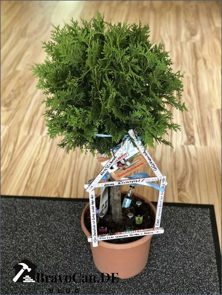 Geschenk Fur Richtfest