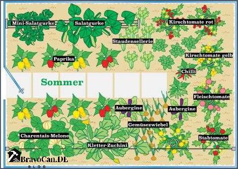 Gewächshaus bepflanzen plan Tipps und Anleitung für die optimale Bepflanzung Gewächshaus bepflanzen plan Tipps und Anleitung für die optimale Bepflanzung