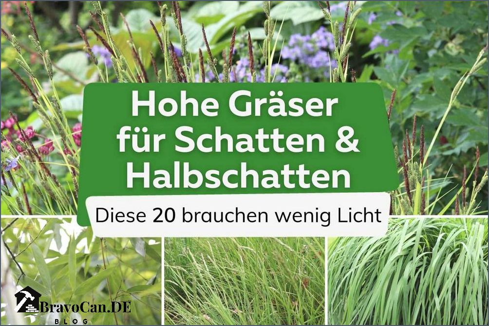 Gräser für Schatten Die besten Sorten für schattige Gärten Gräser für Schatten Die besten Sorten für schattige Gärten