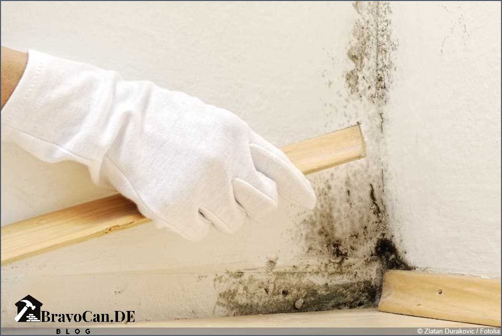 Graue Flecken An Der Wand