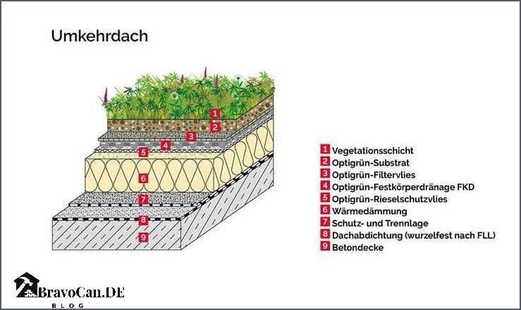 Gründach Detailmaße Alles was Sie wissen müssen