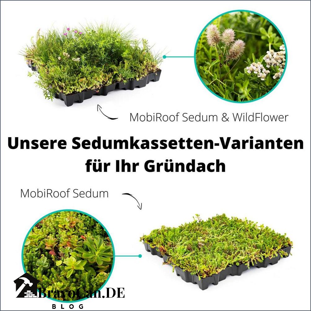 Gründach Detailmaße Alles was Sie wissen müssen