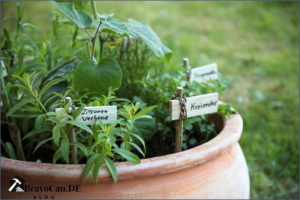 Grüne in Halmen wachsende Pflanzen Eine Anleitung zum Anbau von grünen Pflanzen in Ihrem Zuhause