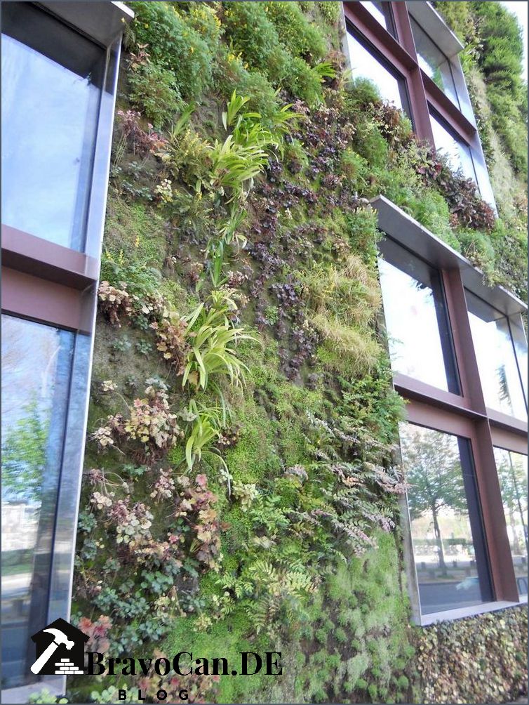 Grüne Wand pflanzen Tipps und Ideen für eine grüne Oase zu Hause