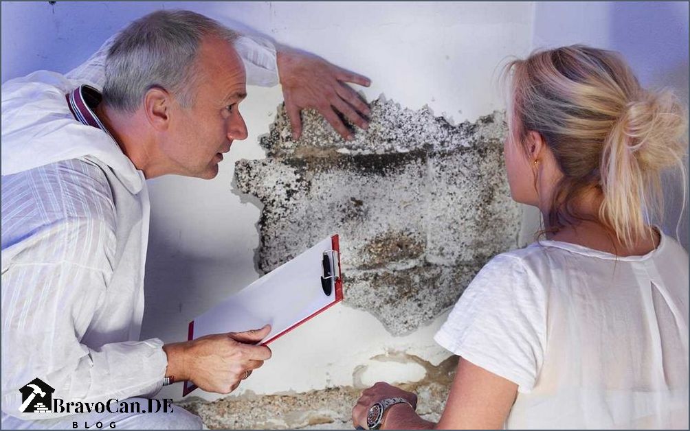 Grüner Schimmelpilz an der Wand Ursachen Symptome und Behandlung Grüner Schimmelpilz an der Wand Ursachen Symptome und Behandlung