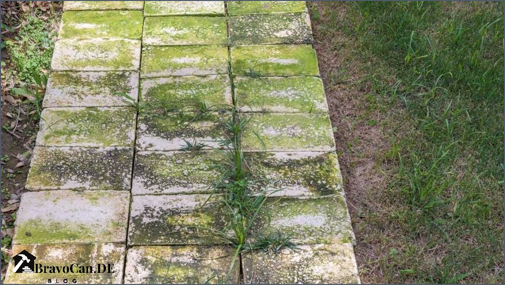 Grünspan entfernen Balkon Tipps und Tricks für eine gründliche Reinigung