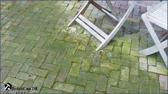 Grünspan entfernen Balkon Tipps und Tricks für eine gründliche Reinigung
