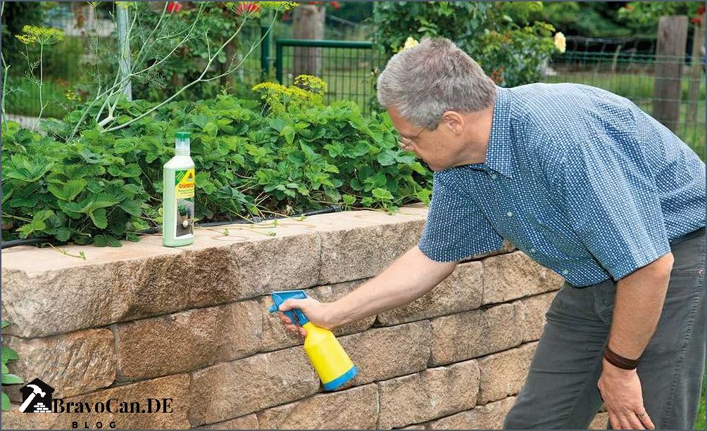 Grünspan entfernen Balkon Tipps und Tricks für eine gründliche Reinigung