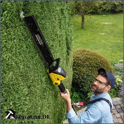 Hecke schneiden Formen Tipps und Tricks für einen perfekten Schnitt