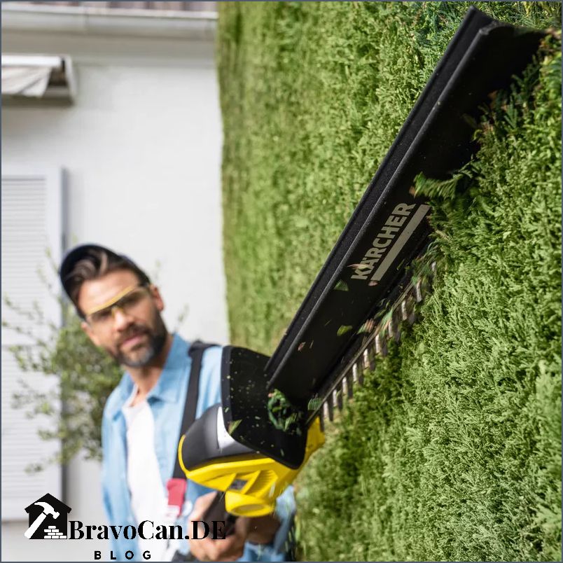 Hecke schneiden Formen Tipps und Tricks für einen perfekten Schnitt