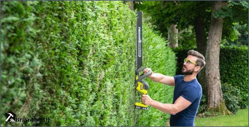 Hecke schneiden Kosten Preise und Tipps für professionelle Heckenschnitte Hecke schneiden Kosten Preise und Tipps für professionelle Heckenschnitte