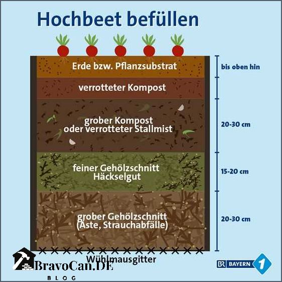 Hochbeet befüllen 3 Schichten für gesundes Wachstum