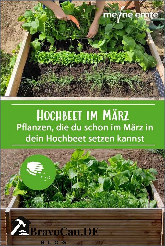 Hochbeet bepflanzen im März Tipps und Ideen für den Frühlingsstart